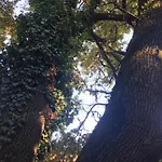 Csigaház Panzió Pensión 4*