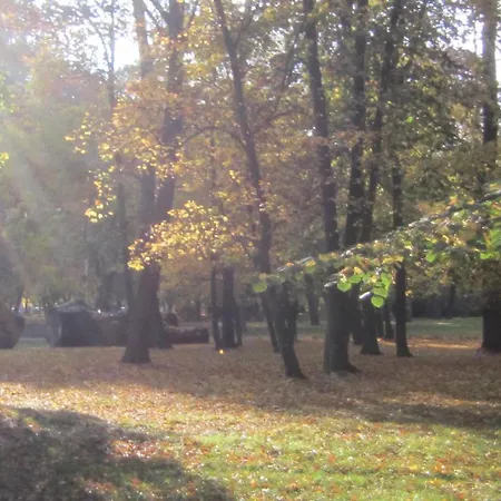 Csigahaz Panzio Guest house Gyula