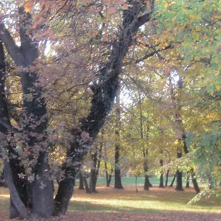 Csigahaz Panzio Gyula