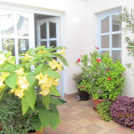 Guest house Csigahaz Panzio Gyula