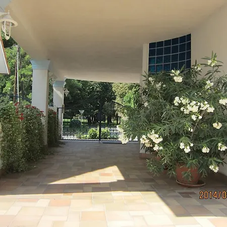 Guest house Csigahaz Panzio